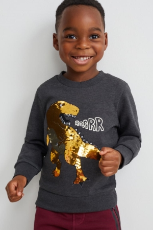 Sudaderas C&A Dinosaur Shiny Gris Oscuro | VODSCT-742